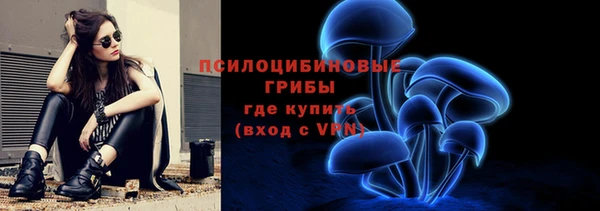 тгк Зеленодольск