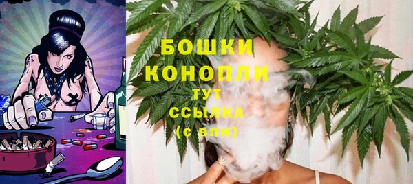 тгк Зеленодольск