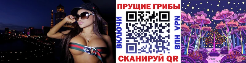 Купить Кирсанов Галлюциногенные грибы Cubensis